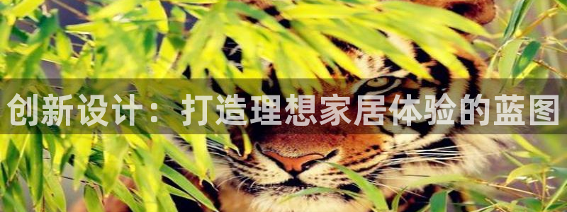星欧娱乐改名后叫什么