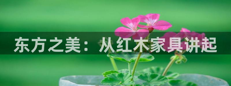 欧星娱乐平台是黑的吗?