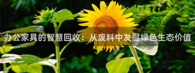 星辉娱乐欧联杯转播