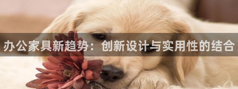 星欧娱乐是正规平台吗