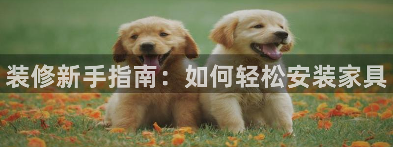 星欧娱乐是正规的吗