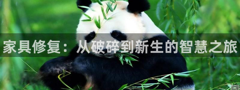 星欧娱乐怎么注册