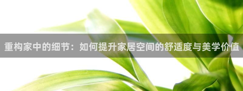 欧联杯正赛星辉娱乐