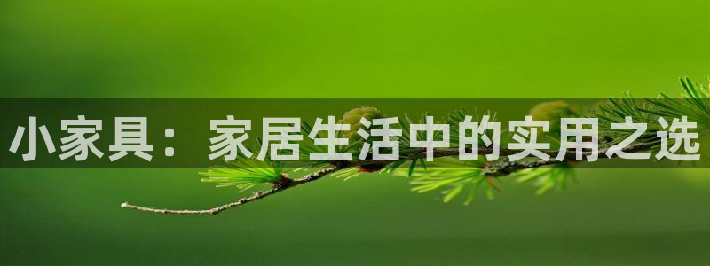 金欧岗星熠娱乐