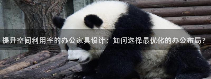 星欧娱乐app登录入口