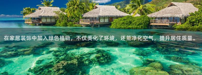 欧星娱乐注册：在家居装饰中加入绿色植物，不仅美化了环境，还能
