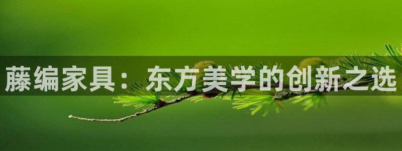 星欧娱乐登录注册