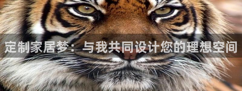 星欧娱乐平台下载