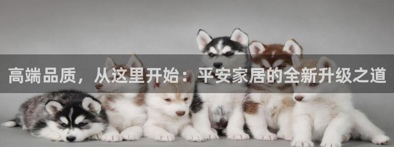星欧娱乐平台下载