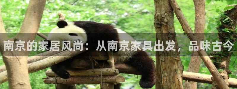 欧星娱乐是做什么的