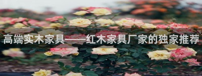 欧汇星娱乐