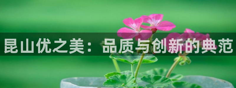 星辉娱乐进入欧连杯了吗