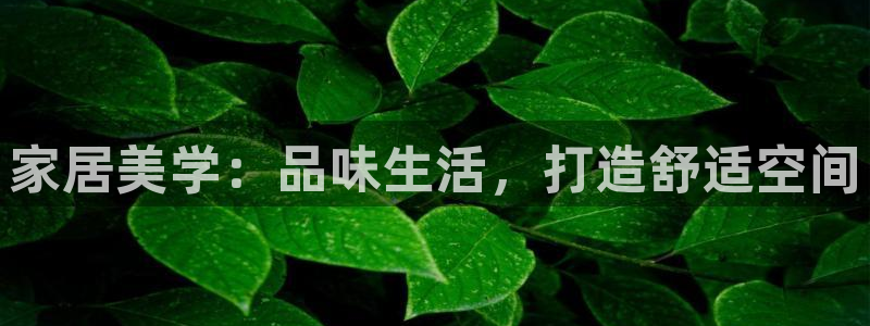 欧星娱乐网址