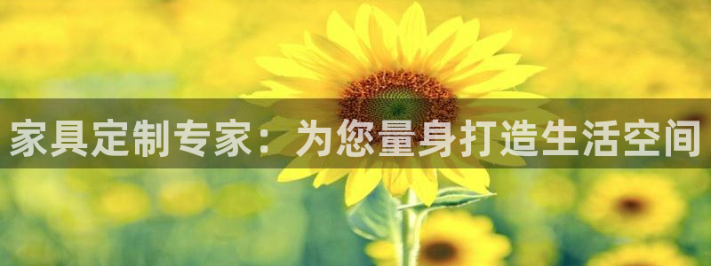 星欧娱乐的官方网站