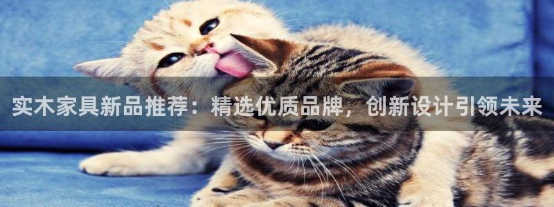 星欧娱乐是正规平台吗