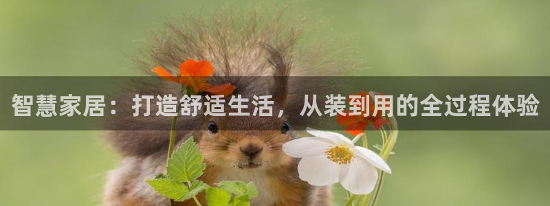 欧乐星城休闲娱乐