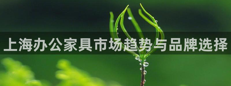 欧星娱乐备用网址
