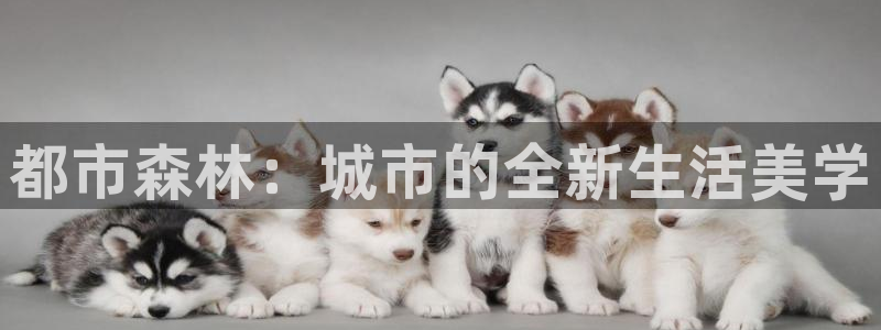 欧星娱乐官网