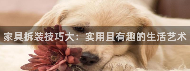 星欧娱乐app注册