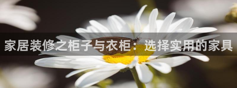 星欧娱乐文化无锡