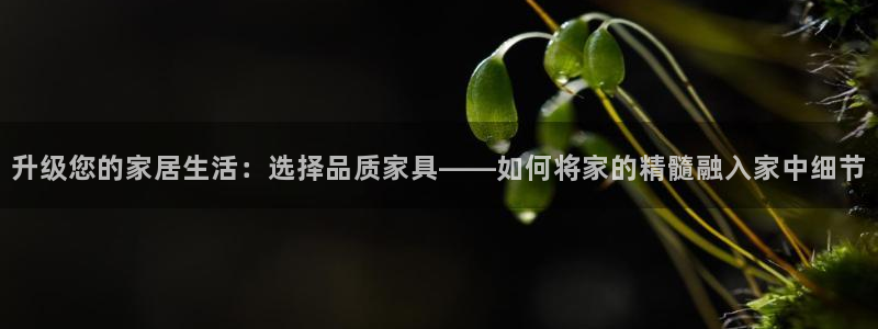 欧乐星城娱乐的介绍