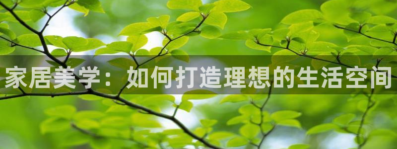 星欧娱乐登录后怎么登录