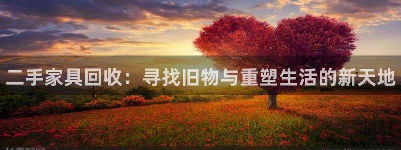 星欧娱乐公司老板背景