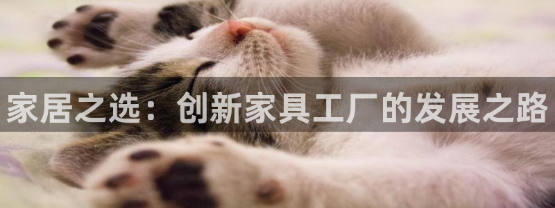 星欧娱乐是诈骗吗：家居之选：创新家具工厂的发展之路