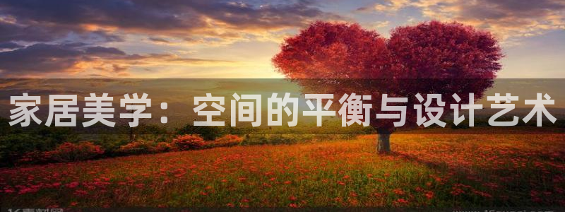 星辉娱乐进入欧联杯