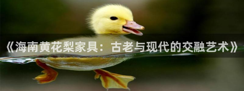 金欧岗星熠娱乐