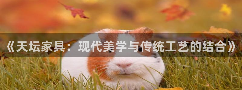 欧乐星城儿童娱乐