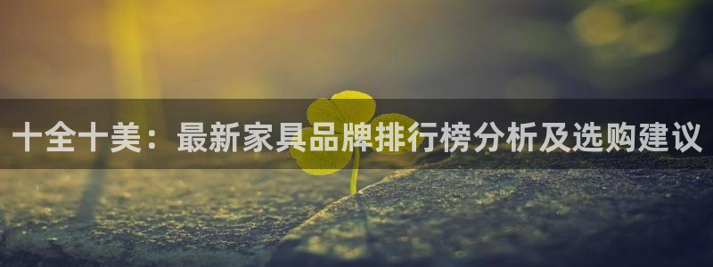 星辉娱乐进入欧联杯了吗