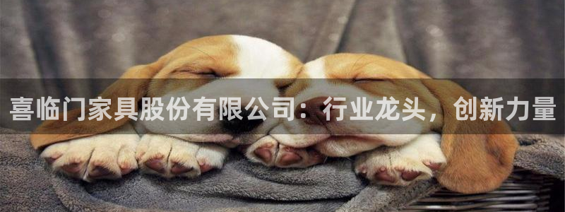 星欧娱乐负责人