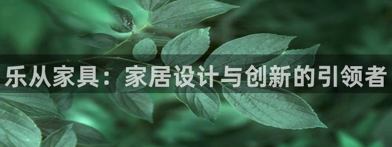 星欧娱乐招商81338