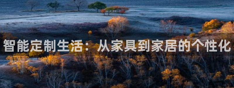 星辉娱乐进入欧联杯