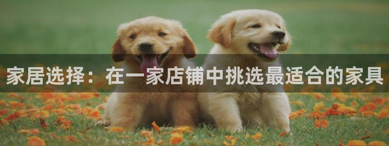 欧星娱乐 菲律宾