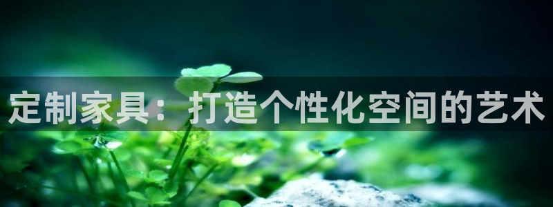 星辉娱乐进入欧连杯了吗