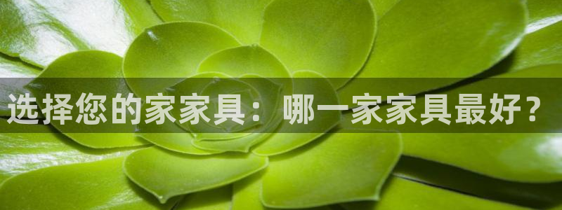 星欧娱乐注册登录