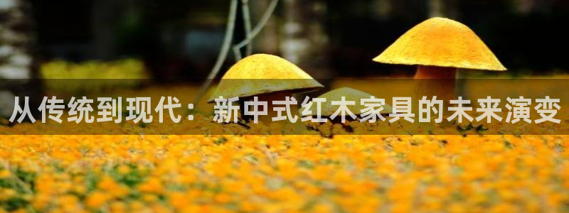 欧星娱乐的真实性