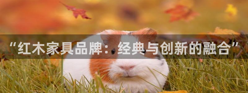 星欧娱乐法最新进展