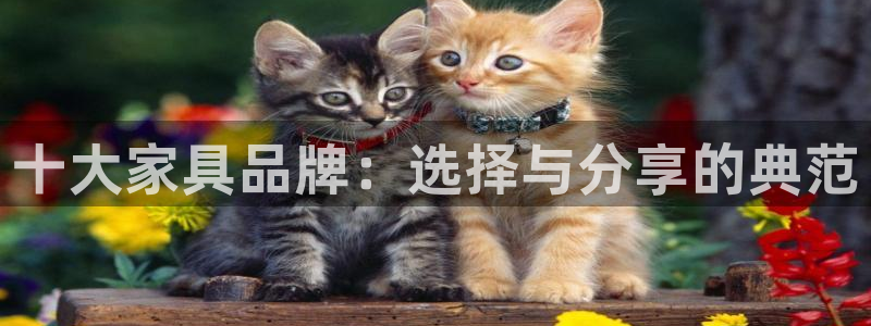 欧星科技娱乐公司：十大家具品牌：选择与分享的典范