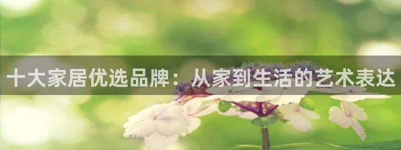欧星娱乐备用网址：十大家居优选品牌：从家到生活的艺术表达
