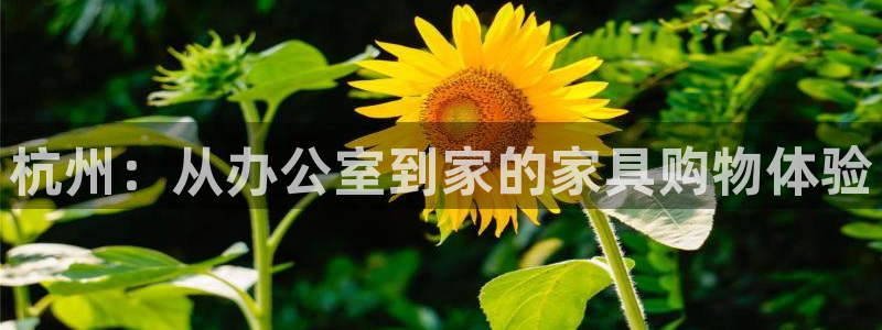 星欧娱乐法最新进展